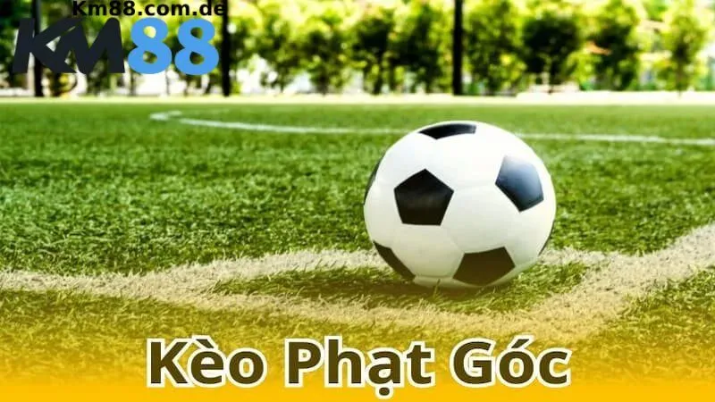 Lý do người chơi nên tham gia cá cược kèo phạt góc